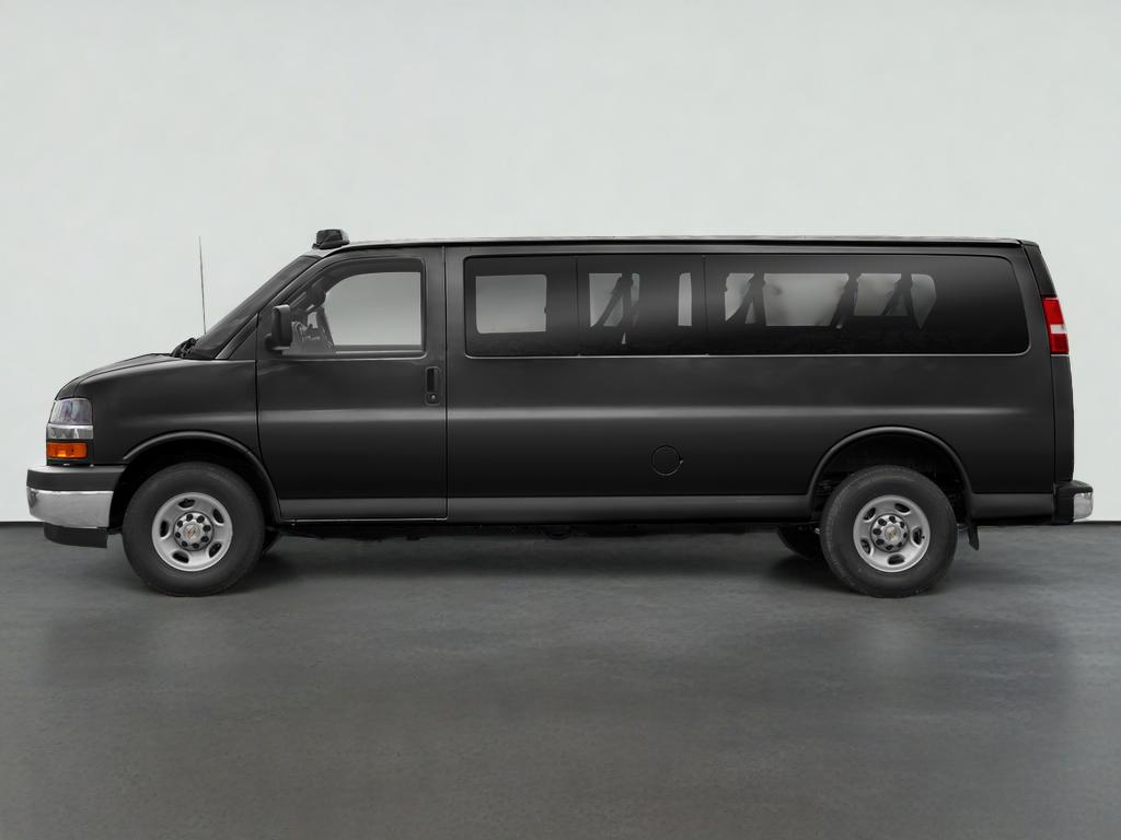 2020 Chevrolet Express Passenger 1LS