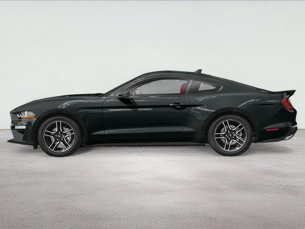 2023 Ford Mustang EcoBoost
