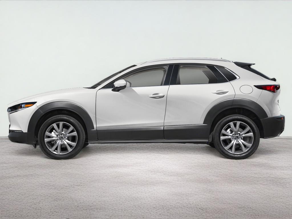 2025 Mazda Mazda CX-30 2.5 S Premium Package