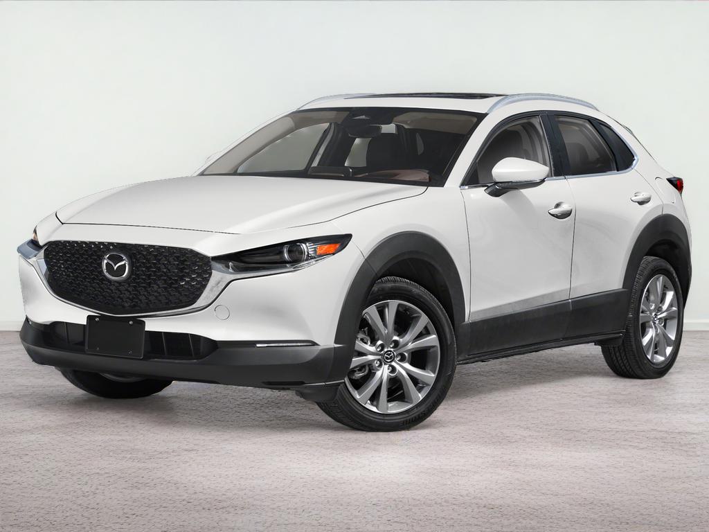 2025 Mazda Mazda CX-30 2.5 S Premium Package