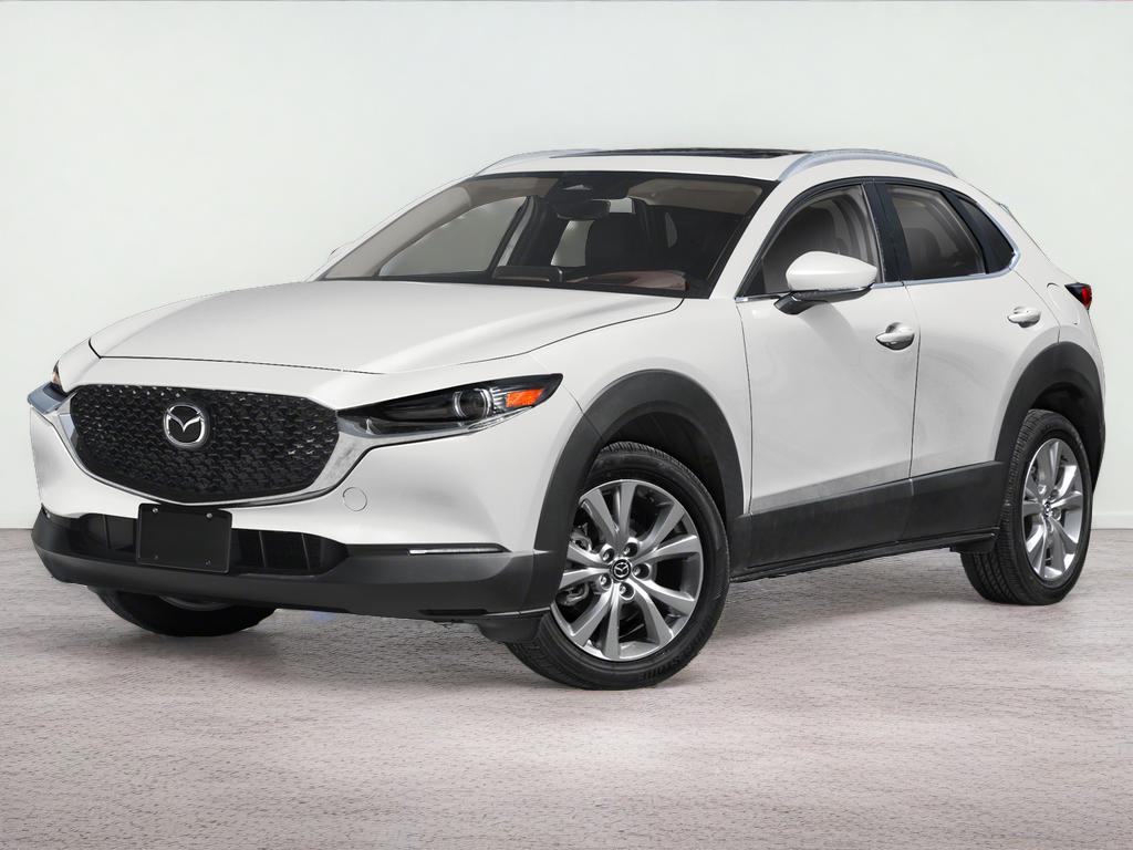 2025 Mazda Mazda CX-30 2.5 S Premium Package