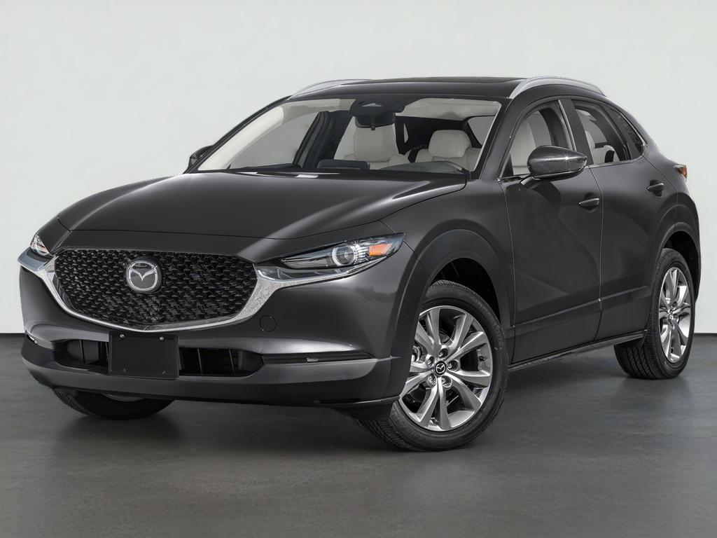 2025 Mazda Mazda CX-30 2.5 S Preferred Package