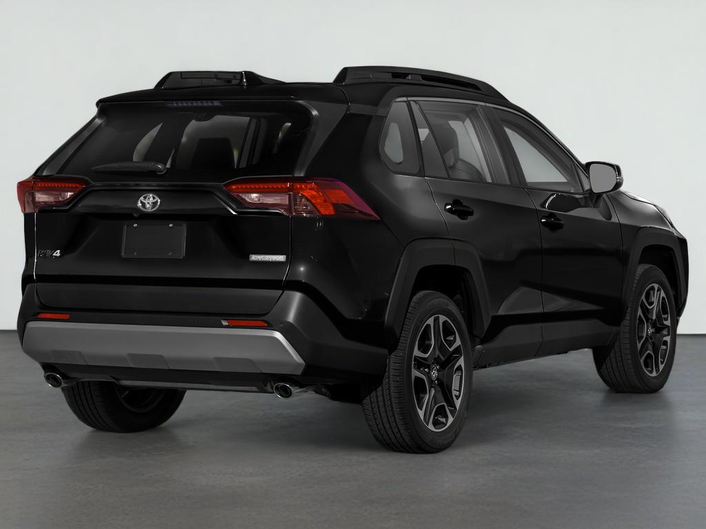 2019 Toyota RAV4 Adventure