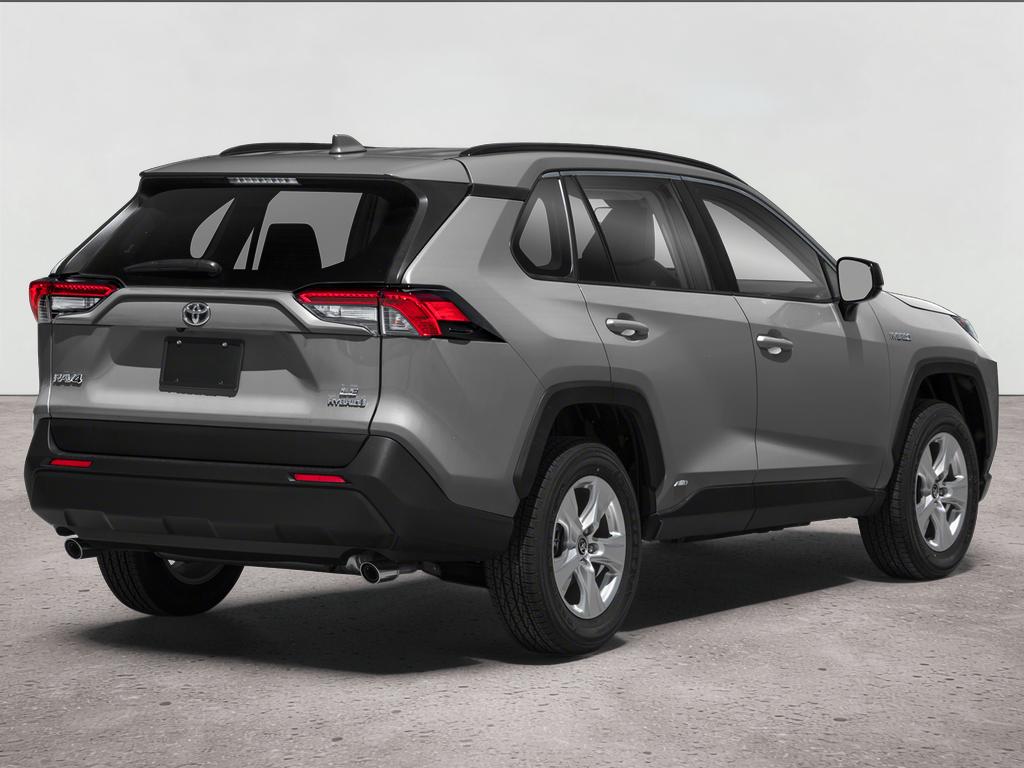 2019 Toyota RAV4 LE