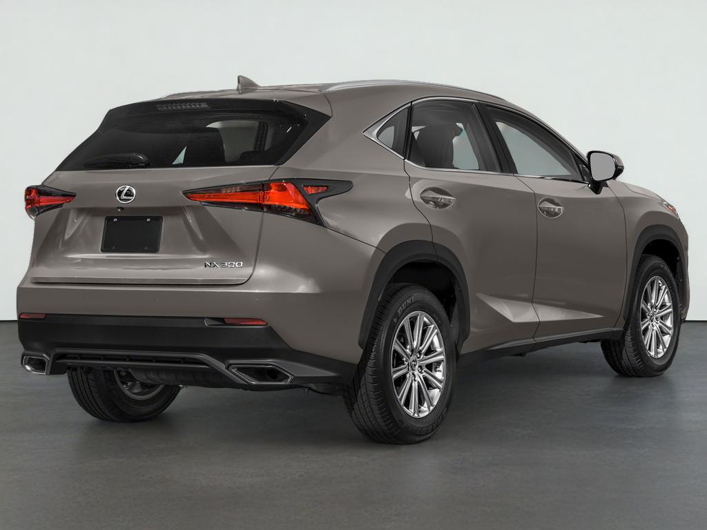 2021 Lexus NX 300 NX 300