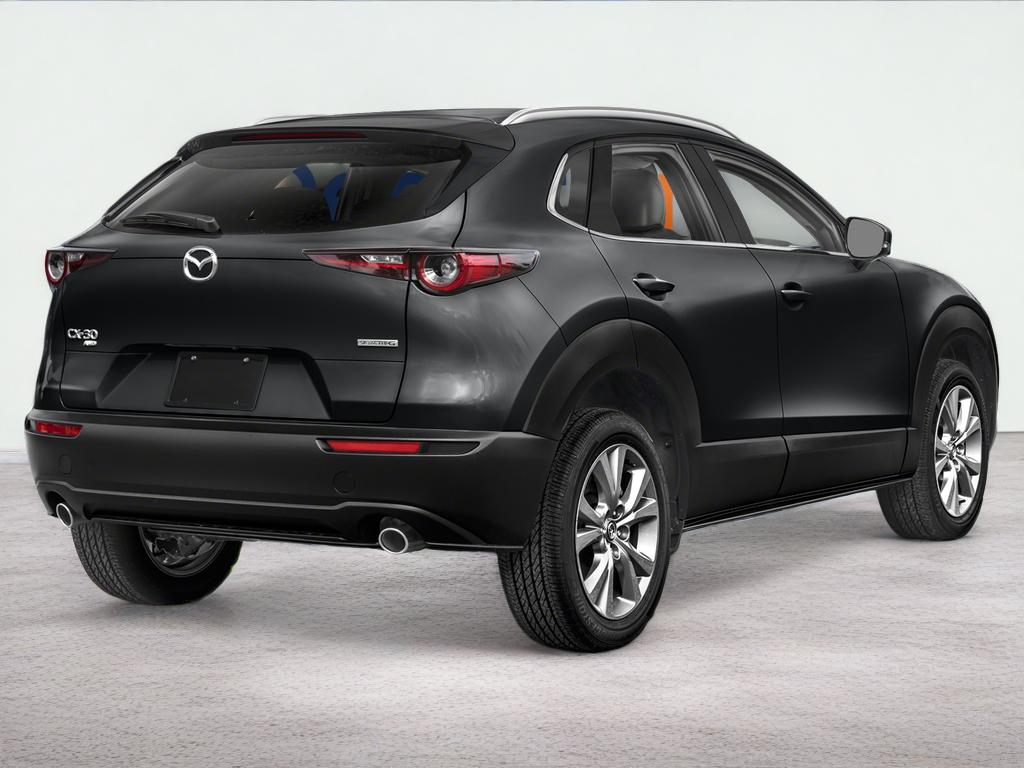 2023 Mazda Mazda CX-30 2.5 S Premium Package