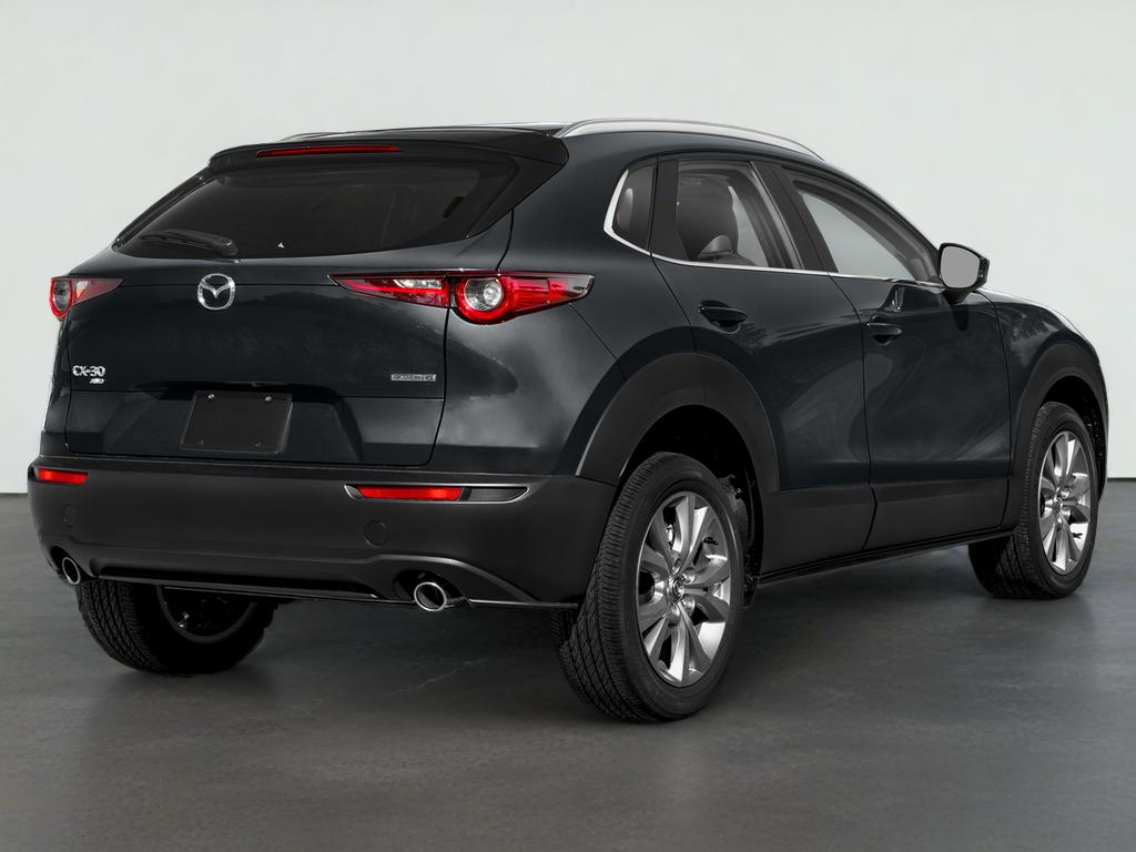 2023 Mazda Mazda CX-30 2.5 S Preferred Package