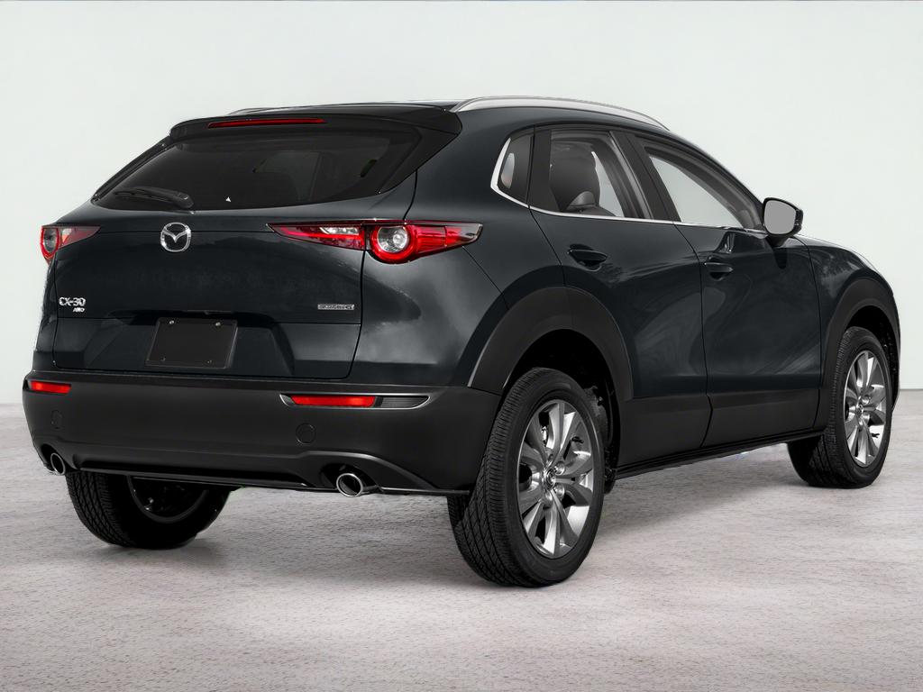 2023 Mazda Mazda CX-30 2.5 S Preferred Package