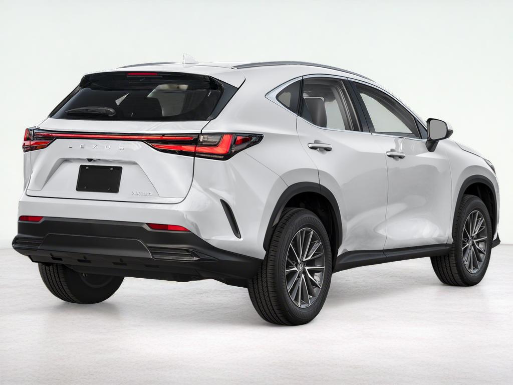 2025 Lexus NX 250 250