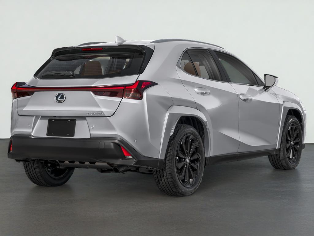 2025 Lexus UX 300h 300h Premium