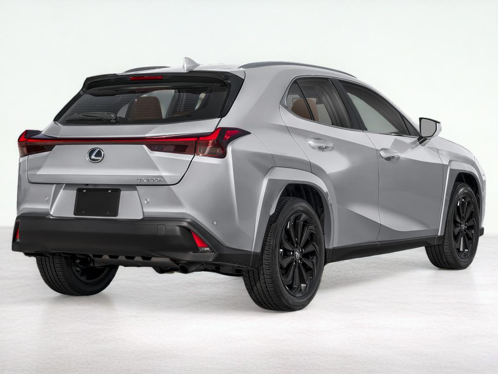 2025 Lexus UX 300h 300h Premium