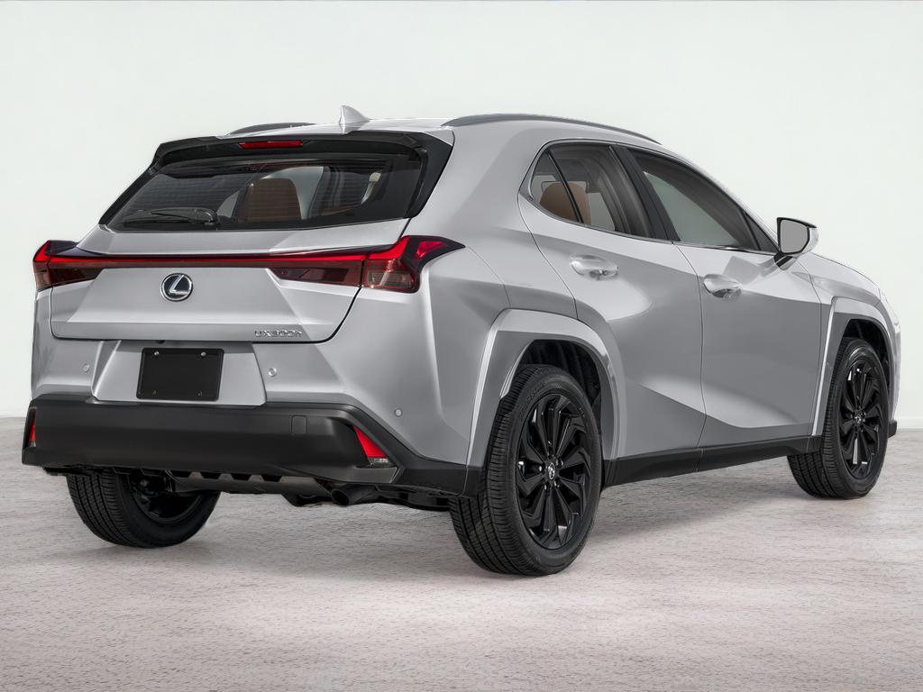 2025 Lexus UX 300h 300h Premium