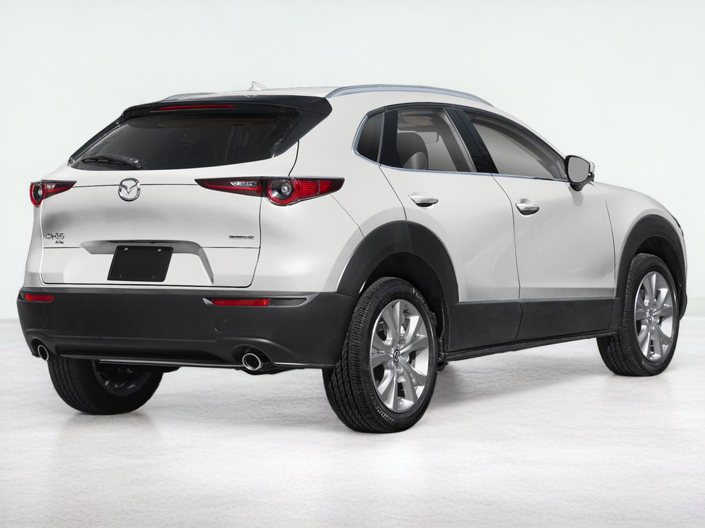 2025 Mazda Mazda CX-30 2.5 S Premium Package