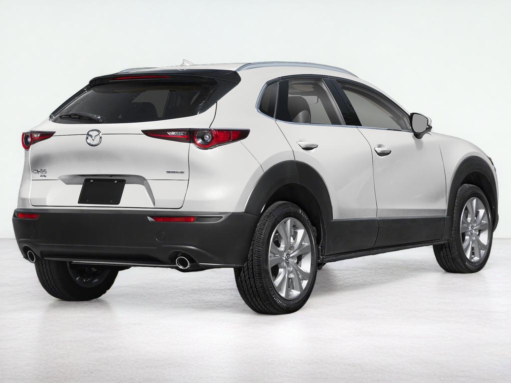 2025 Mazda Mazda CX-30 2.5 S Premium Package