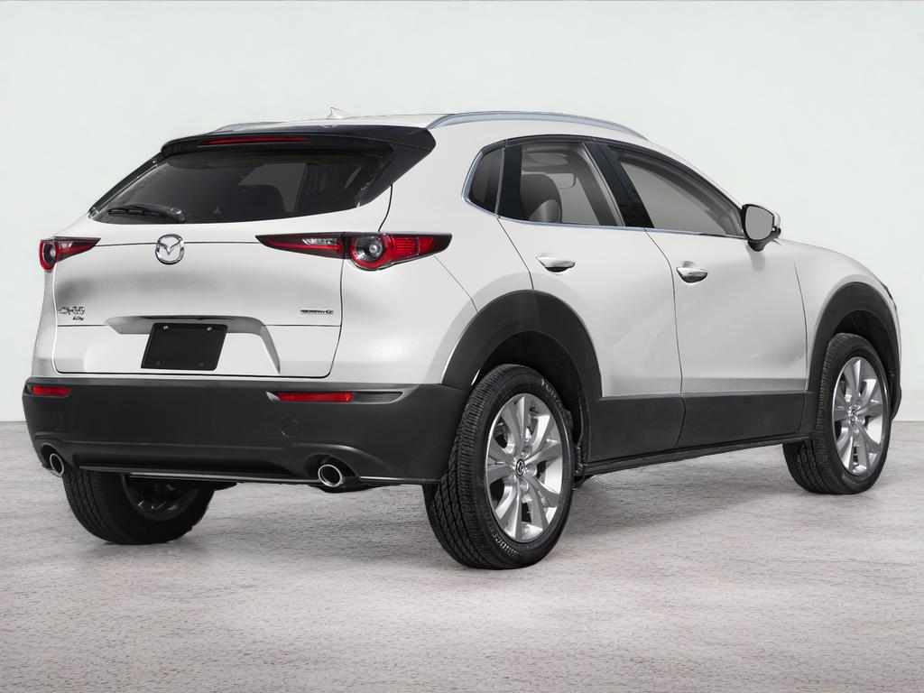 2025 Mazda Mazda CX-30 2.5 S Premium Package