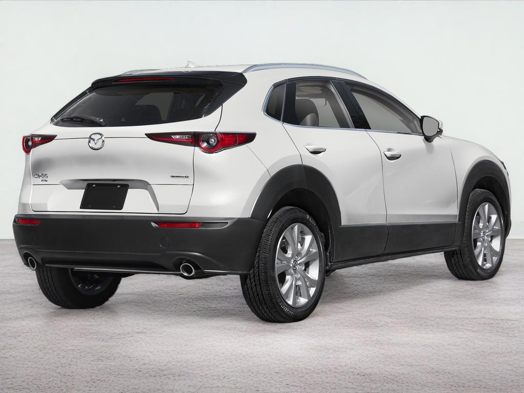 2025 Mazda Mazda CX-30 2.5 S Premium Package