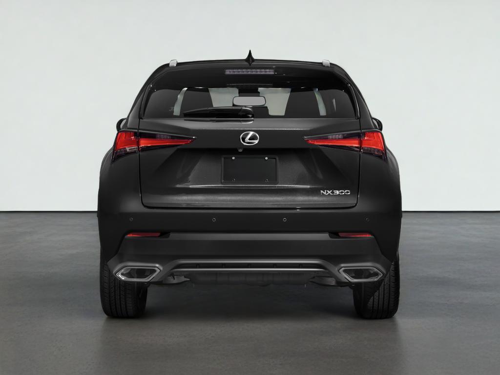 2021 Lexus NX 300 NX 300