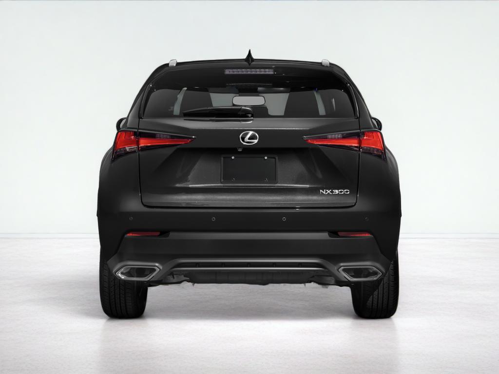 2021 Lexus NX 300 NX 300