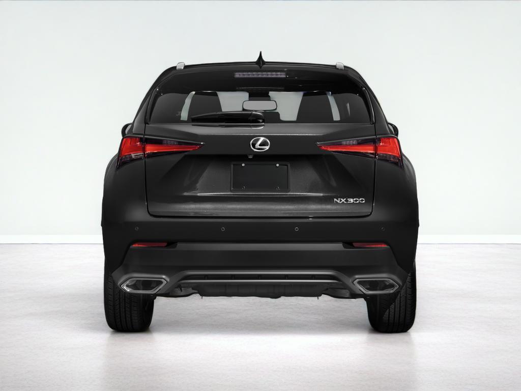 2021 Lexus NX 300 NX 300