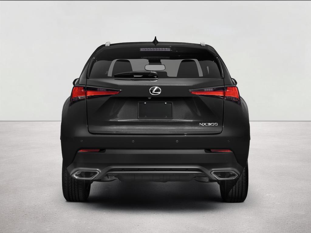 2021 Lexus NX 300 NX 300