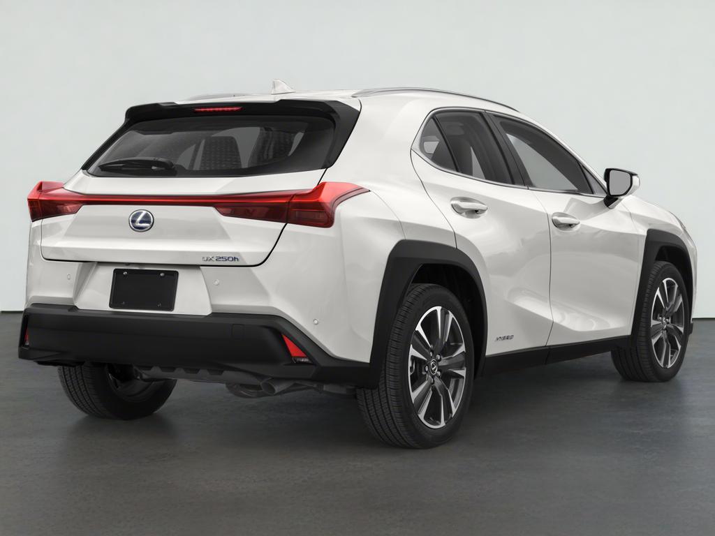 2021 Lexus UX 250h 250h