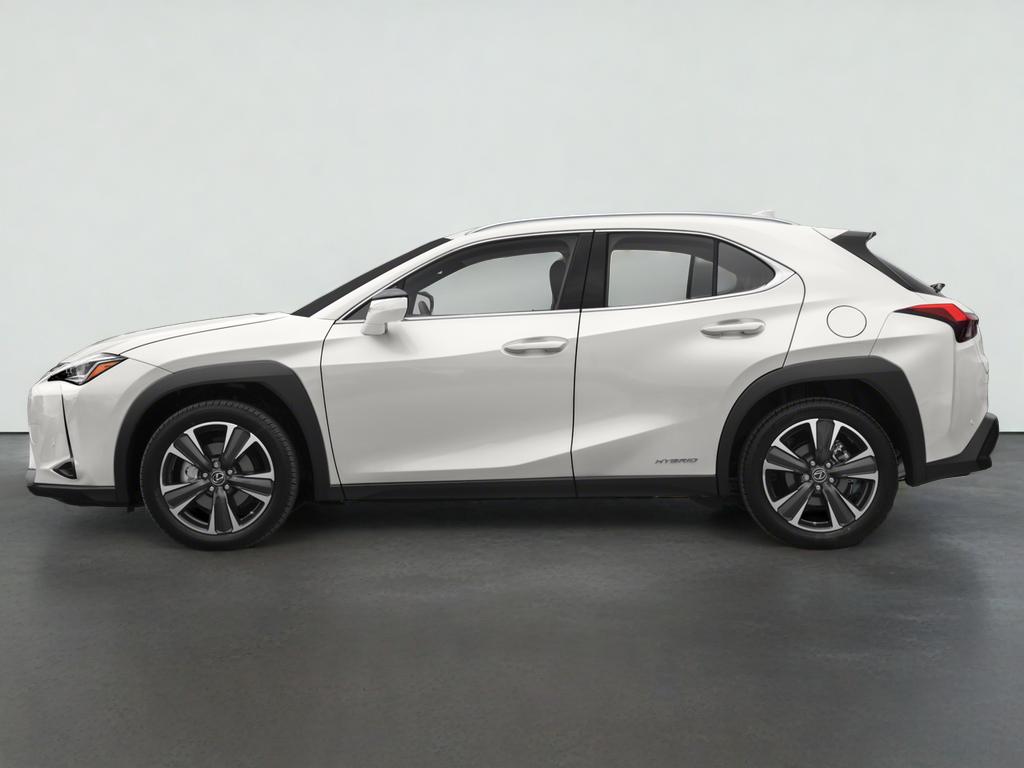 2021 Lexus UX 250h 250h