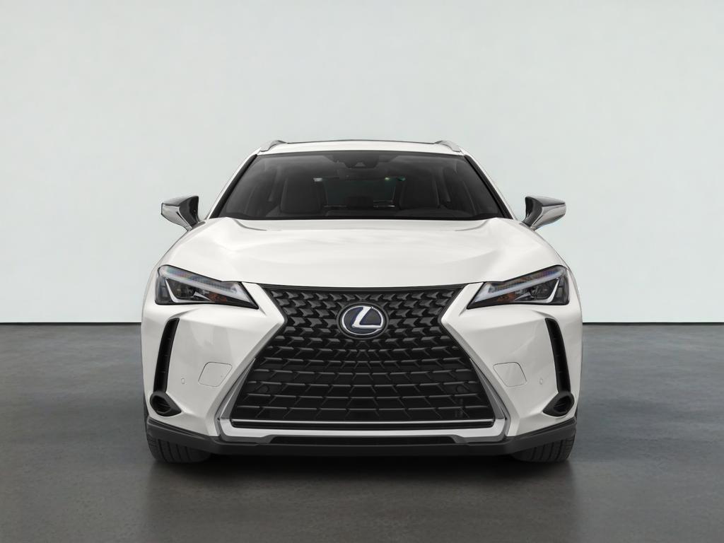 2021 Lexus UX 250h 250h
