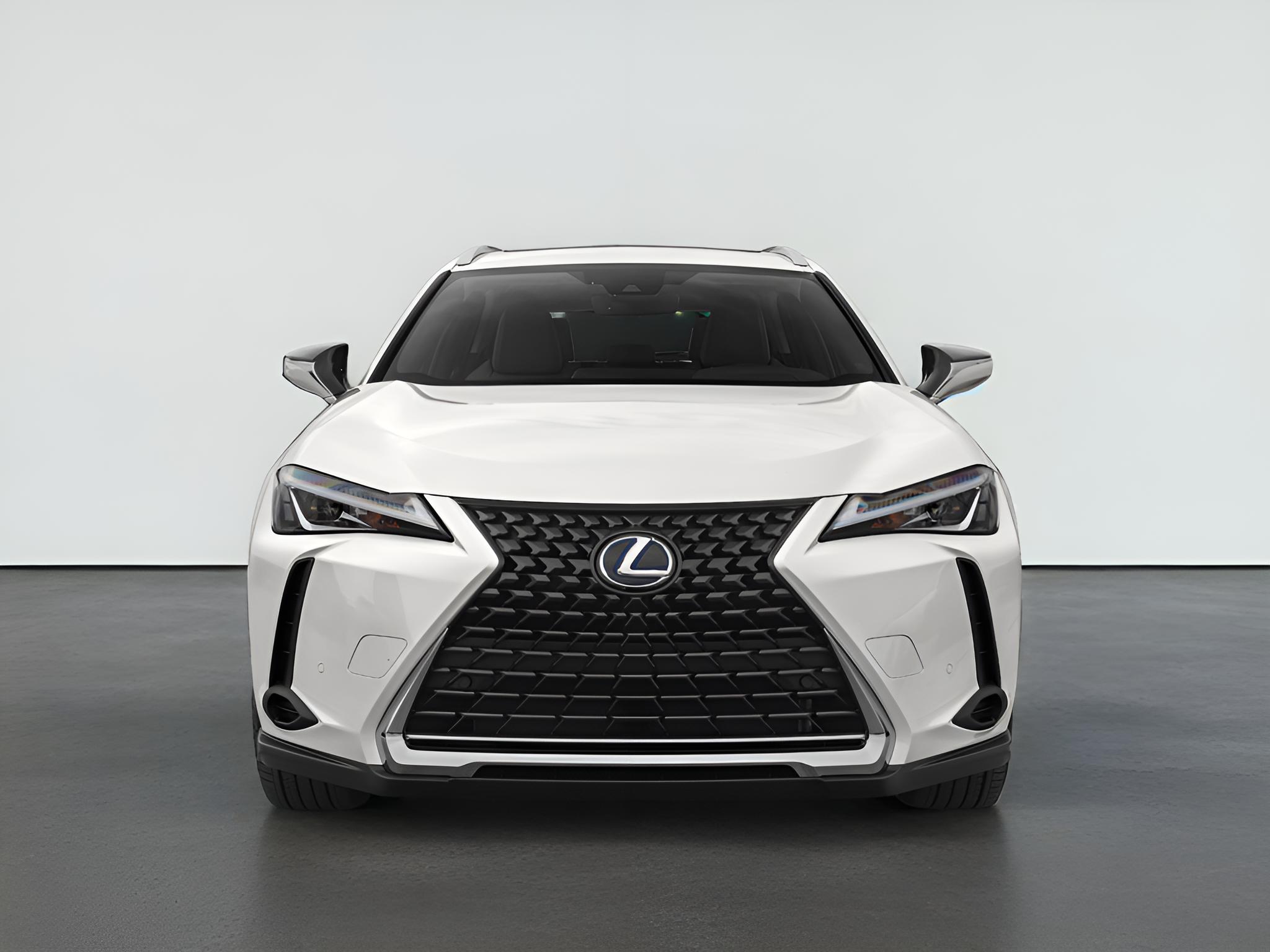 2021 Lexus UX 250h 250h