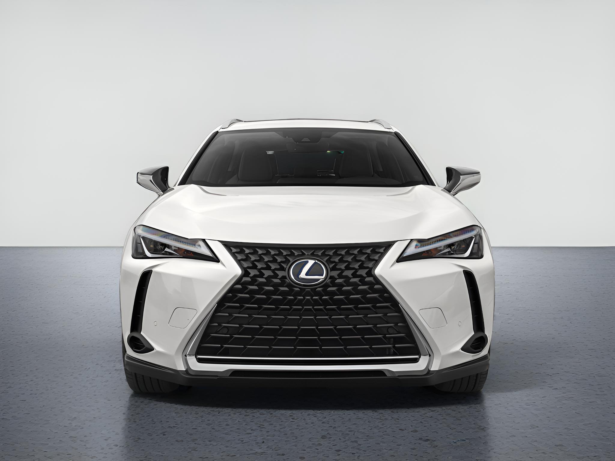 2021 Lexus UX 250h 250h