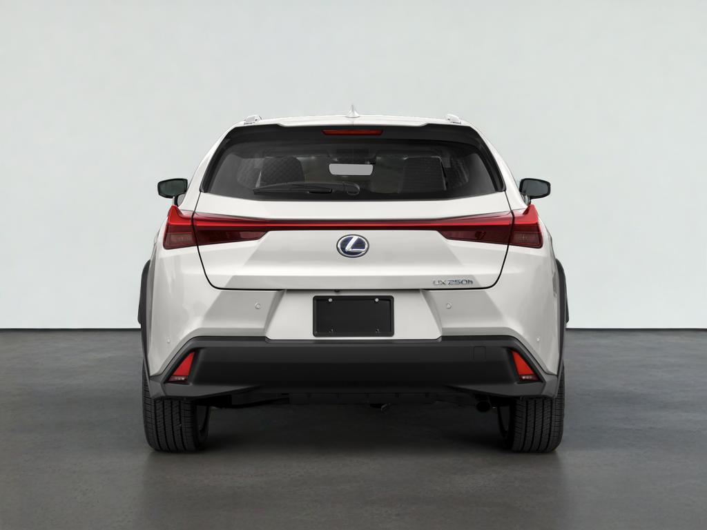2021 Lexus UX 250h 250h