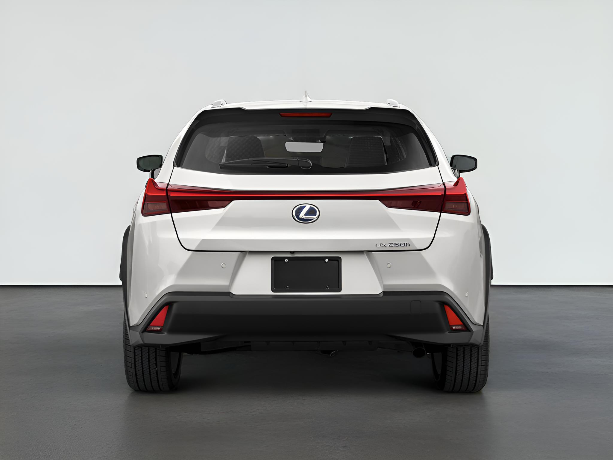 2021 Lexus UX 250h 250h