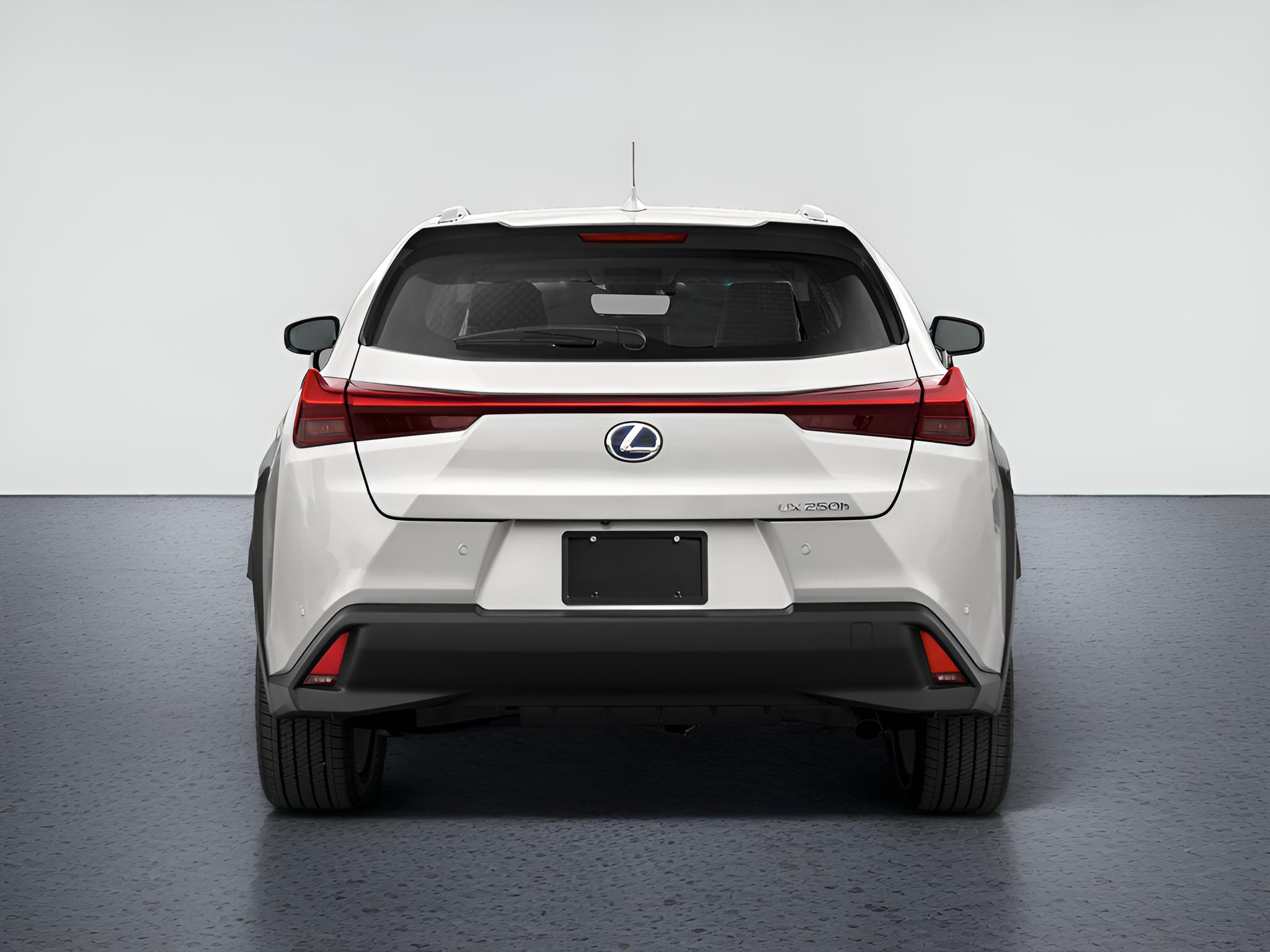 2021 Lexus UX 250h 250h