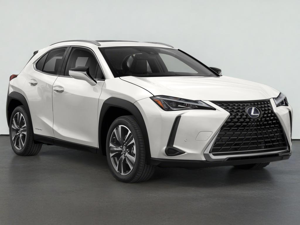 2021 Lexus UX 250h 250h