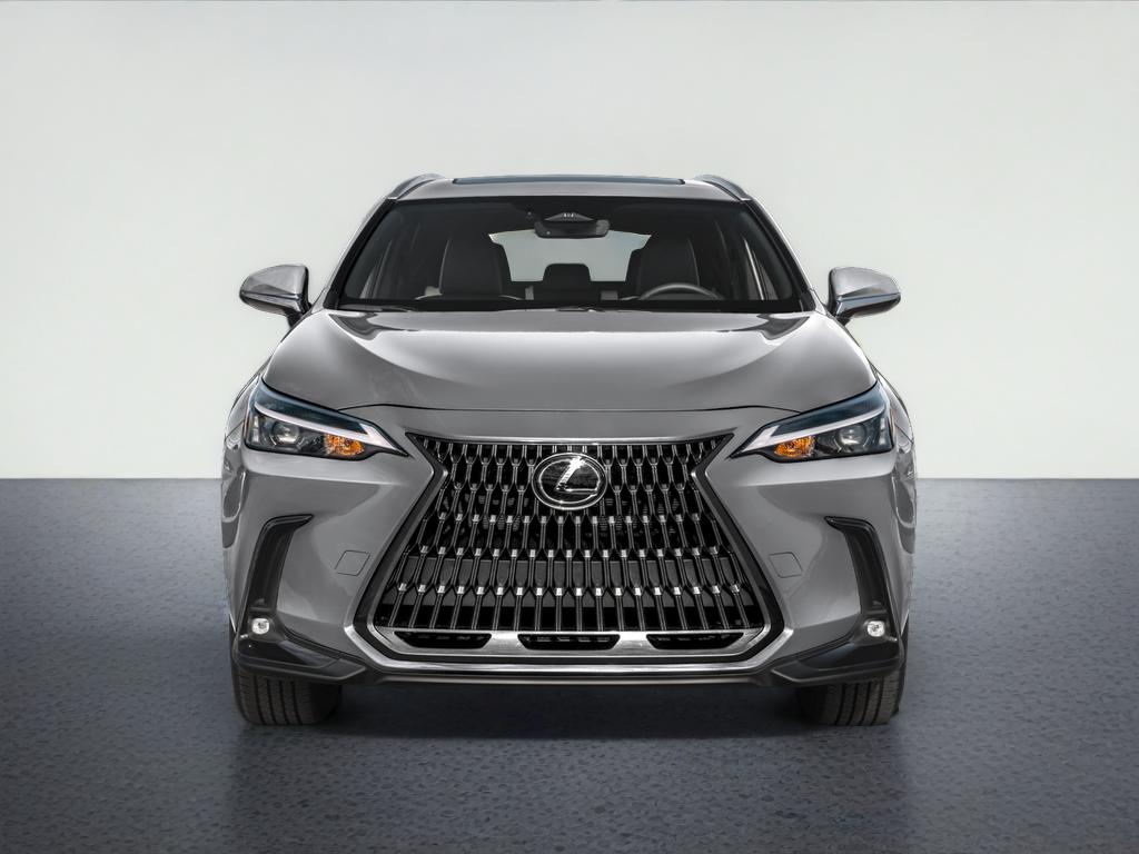 2025 Lexus NX 250 250