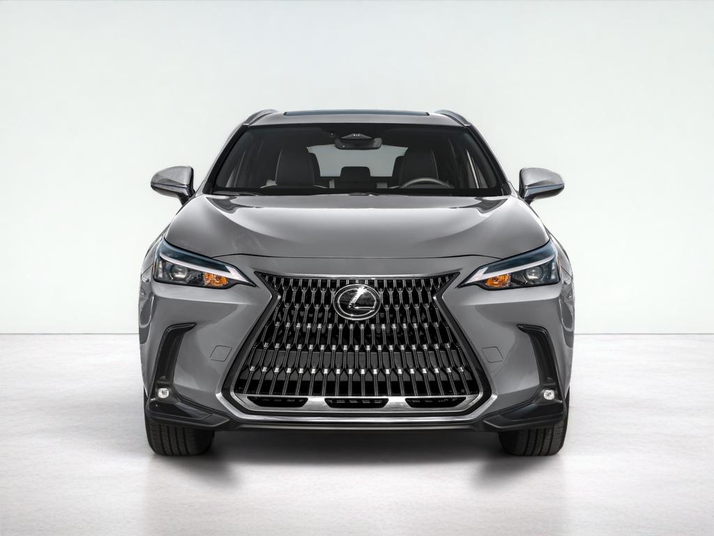 2025 Lexus NX 250 250