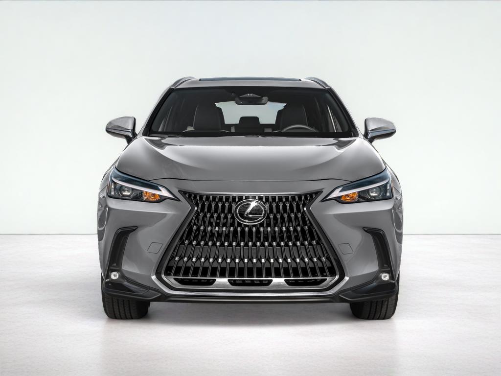 2025 Lexus NX 250 250