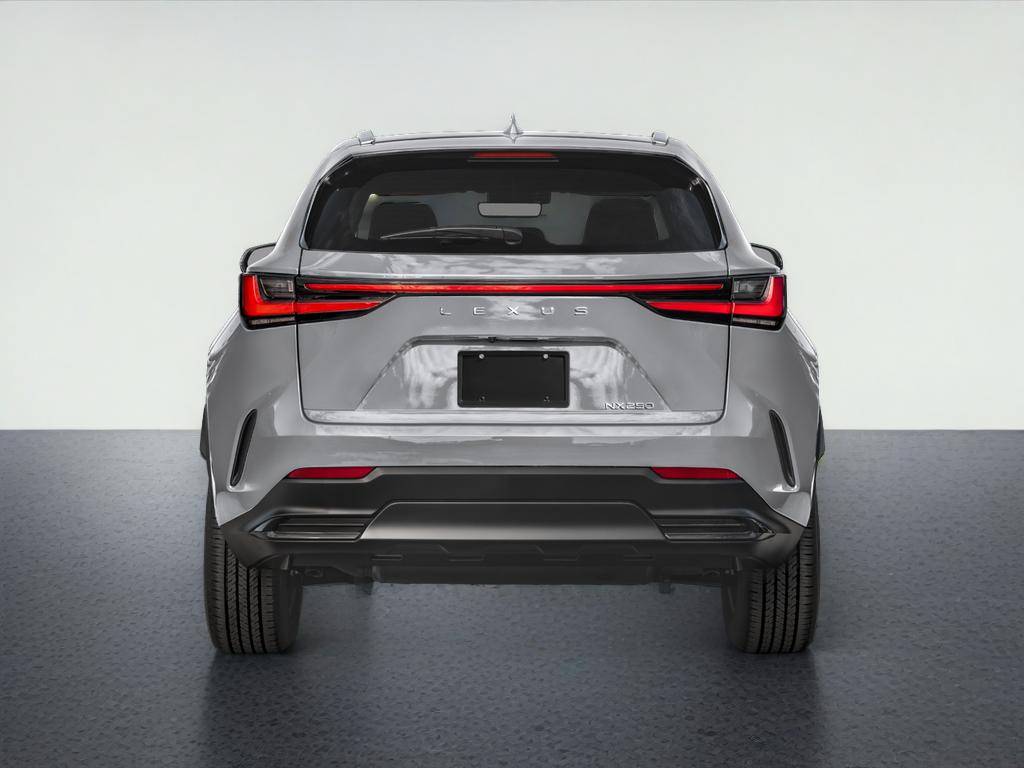 2025 Lexus NX 250 250