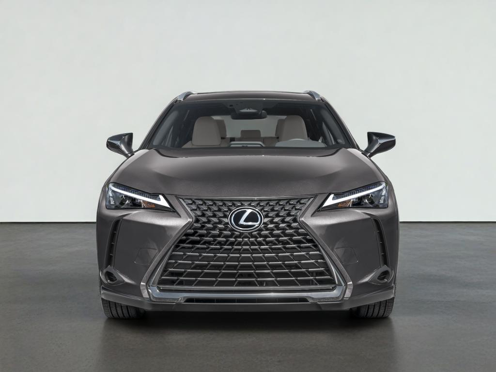 2025 Lexus UX 300h BASE