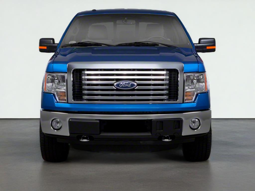 2010 Ford F-150 XL