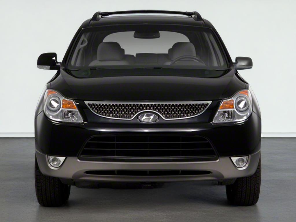 2010 Hyundai Veracruz GLS