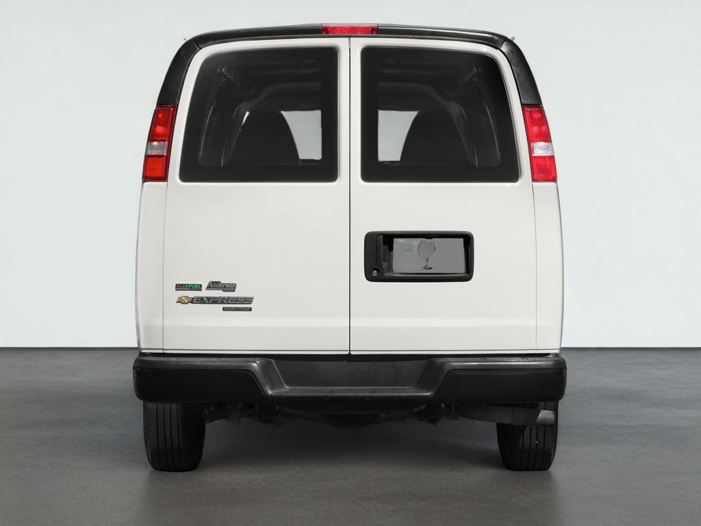 2015 Chevrolet Express Cargo Van Work Van