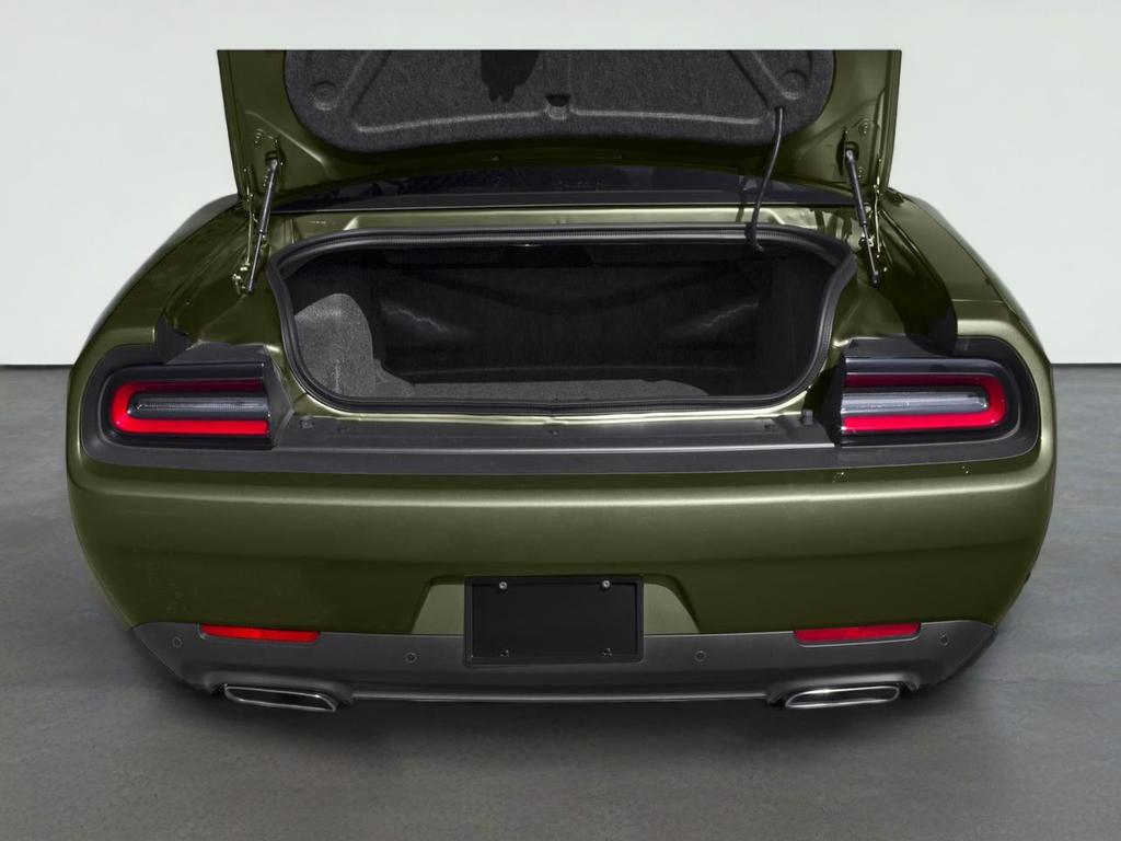 2019 Dodge Challenger R/T Scat Pack