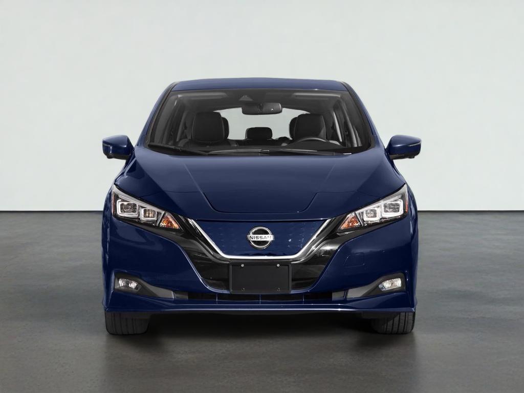 2019 Nissan LEAF SL TECHNOLOGY PACKAGE