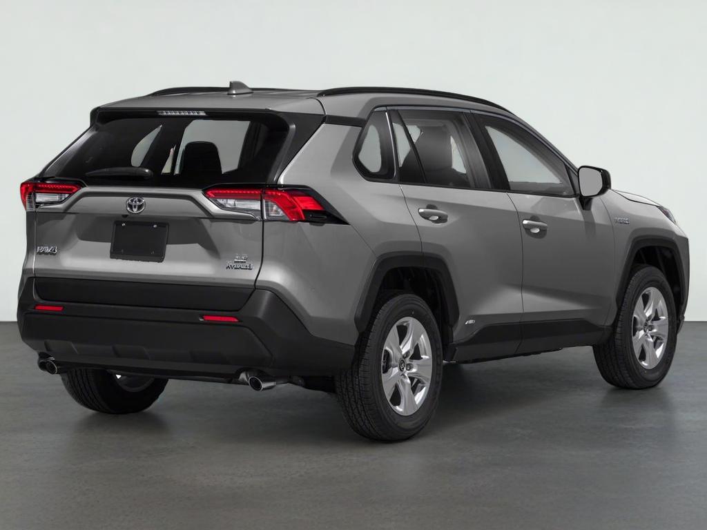 2019 Toyota RAV4 LE