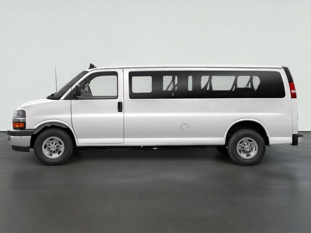 2020 Chevrolet Express Passenger 1LS