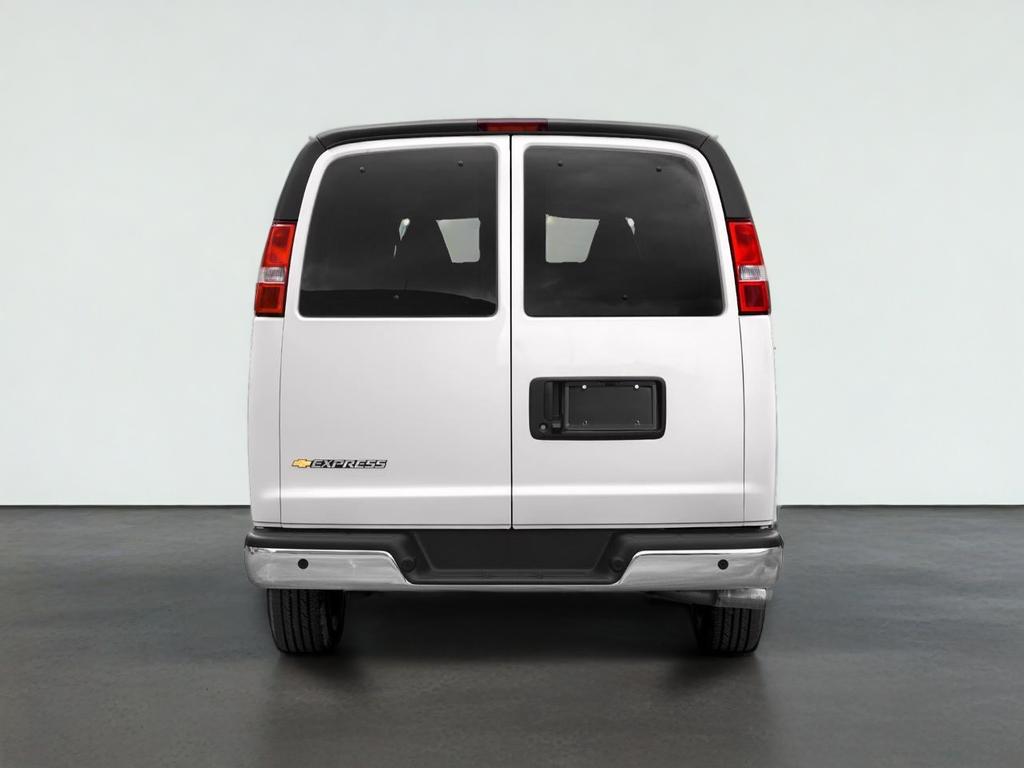 2020 Chevrolet Express Passenger 1LS