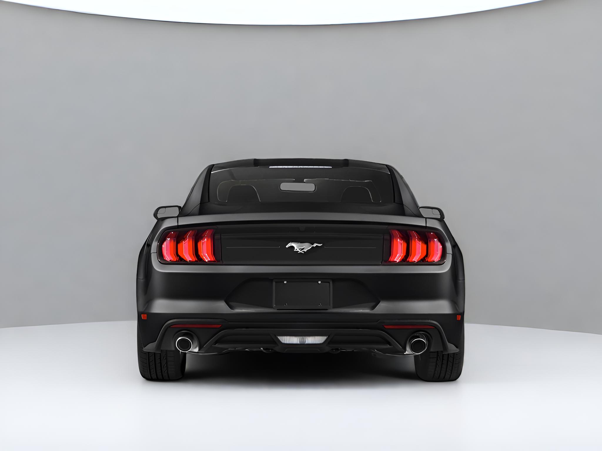 2019 Ford Mustang EcoBoost