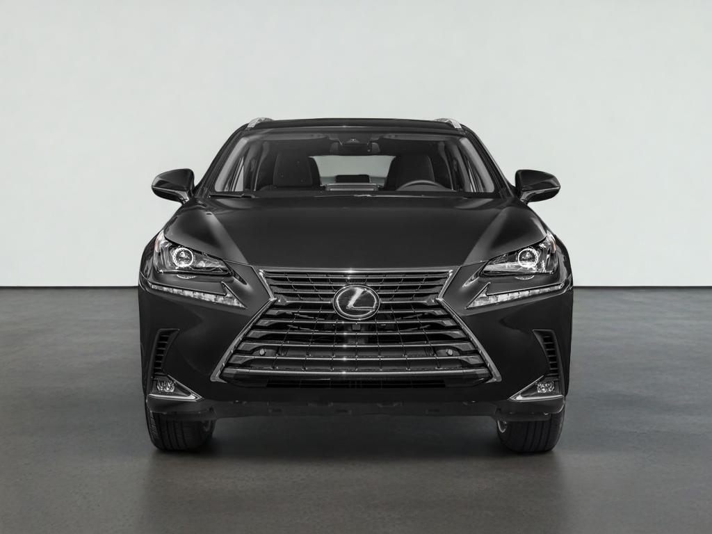 2021 Lexus NX 300 NX 300
