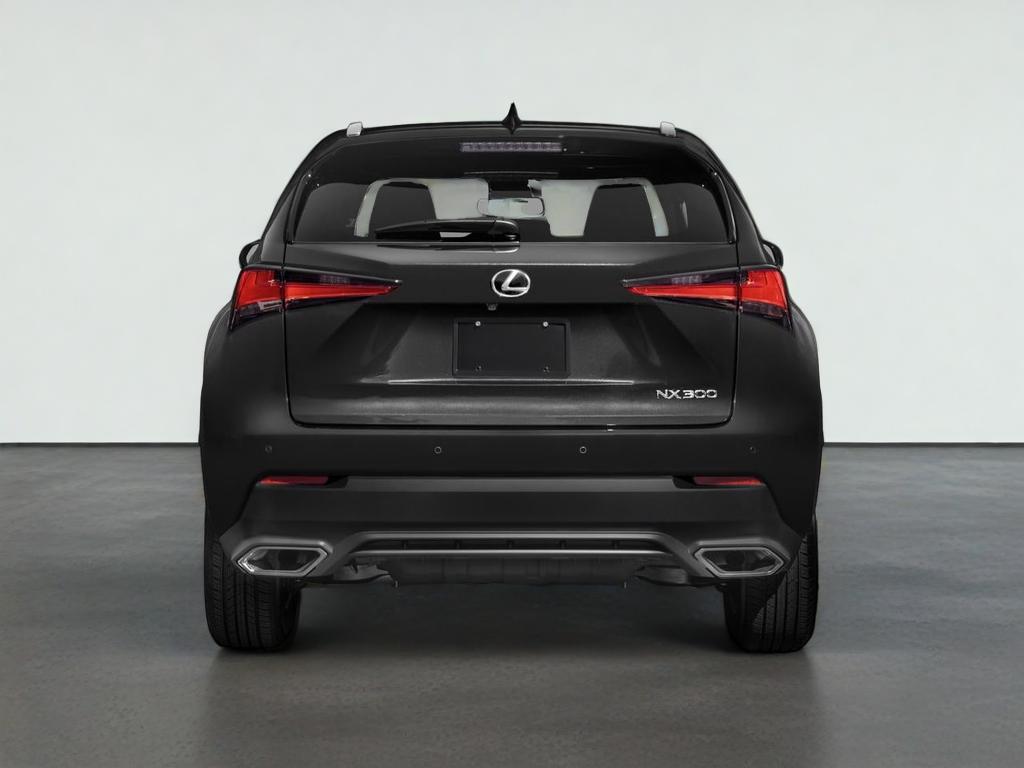 2021 Lexus NX 300 NX 300
