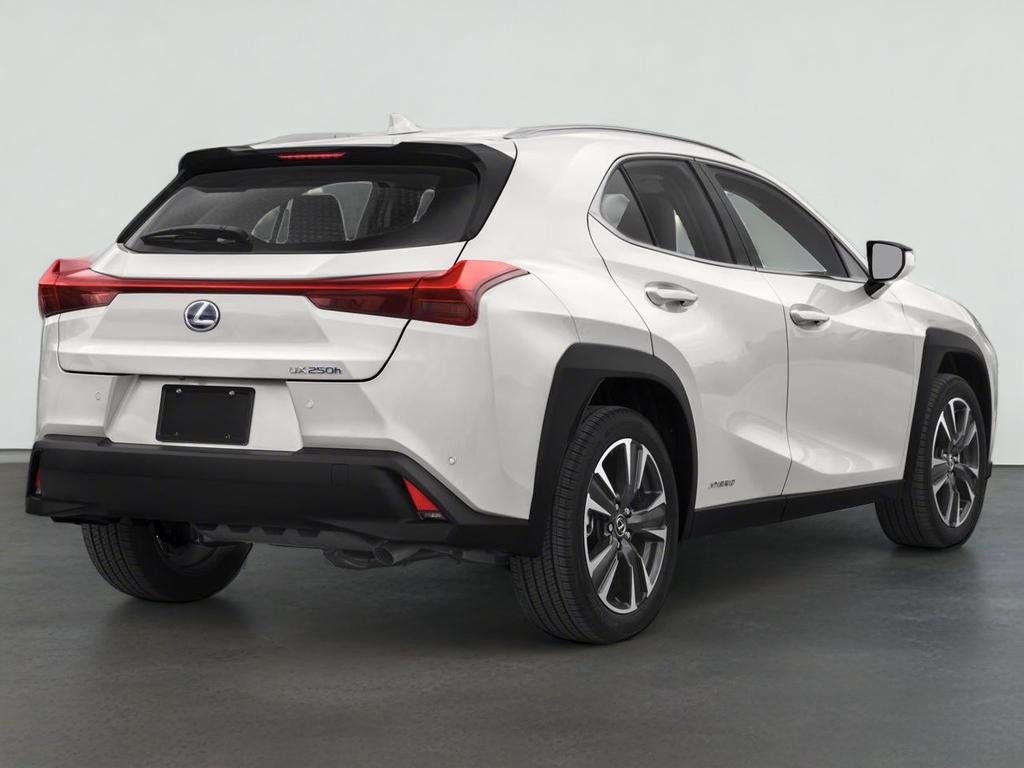 2021 Lexus UX 250h 250h
